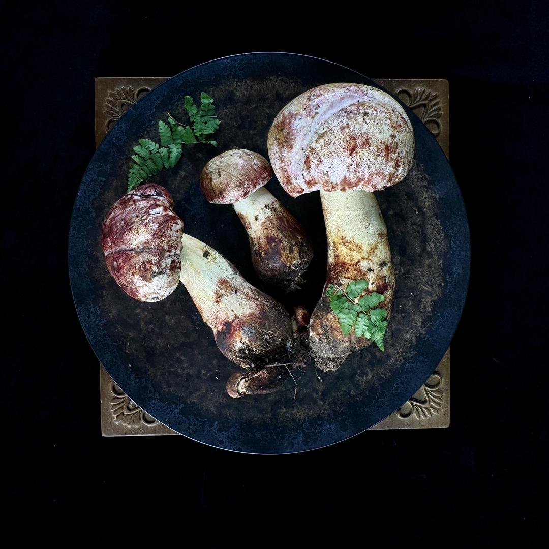 优立农场（滇菌侠）