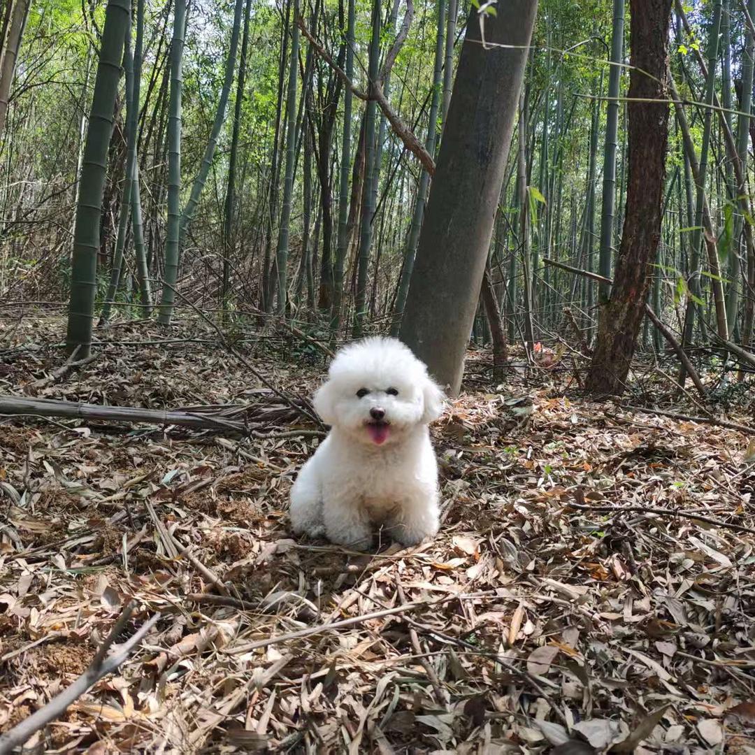 执着