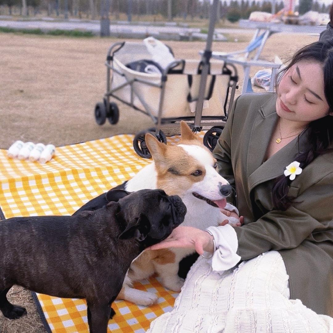 俩狗娃- 波妞and叮当