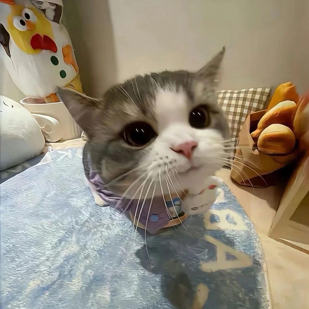 华杰数码（高价回收）