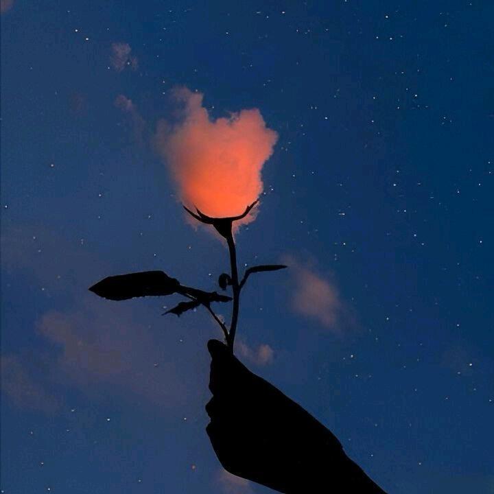 恬规科技1