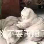 遇到困难睡大觉