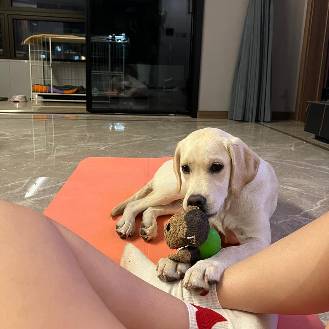 狗的猫宁🐱🐶