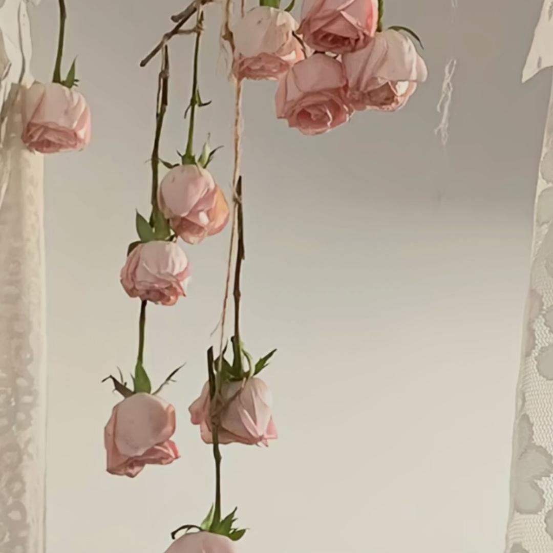 小豆包不吃香菜‘’