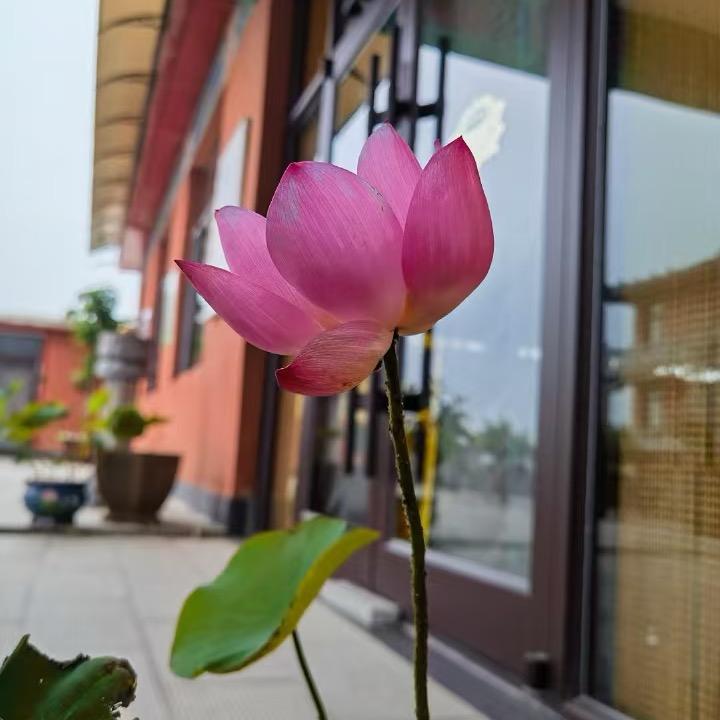 觉慧