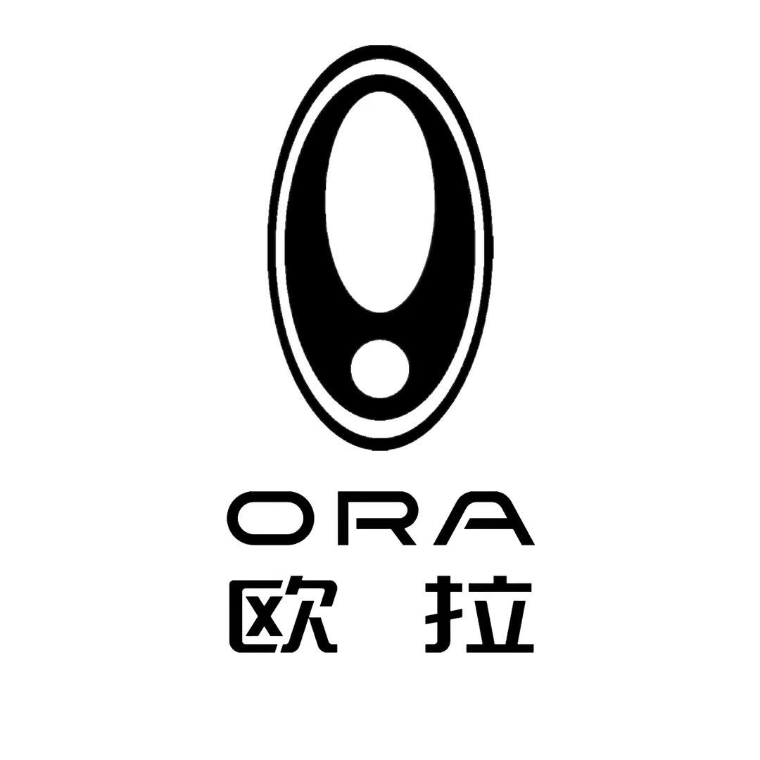 欧拉汽车丽水猫印象