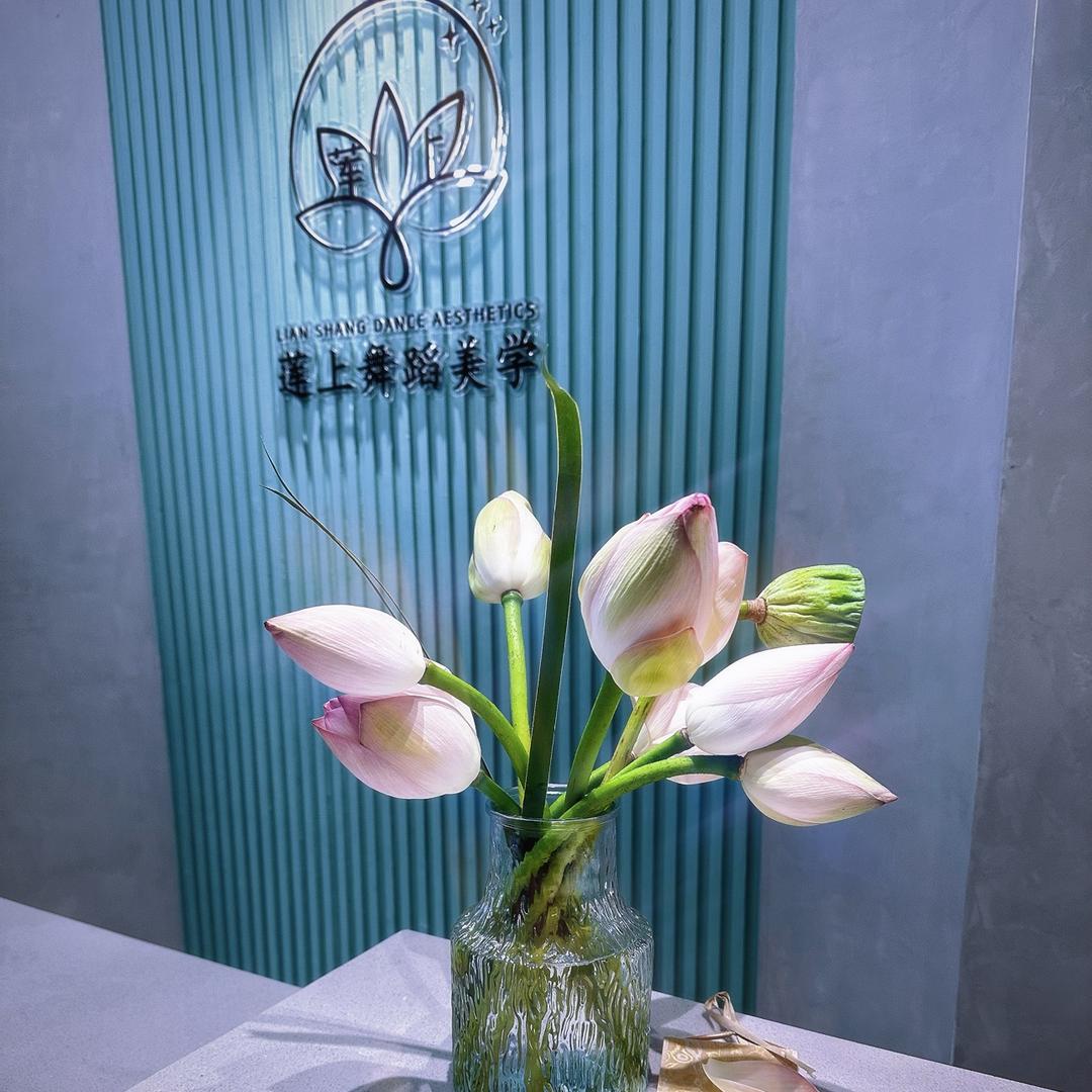 潍城区莲上艺术培训机构（旗舰店官方号）