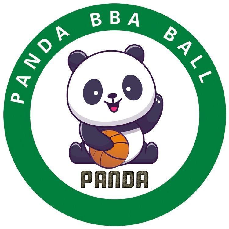 熊猫BBA篮球培训