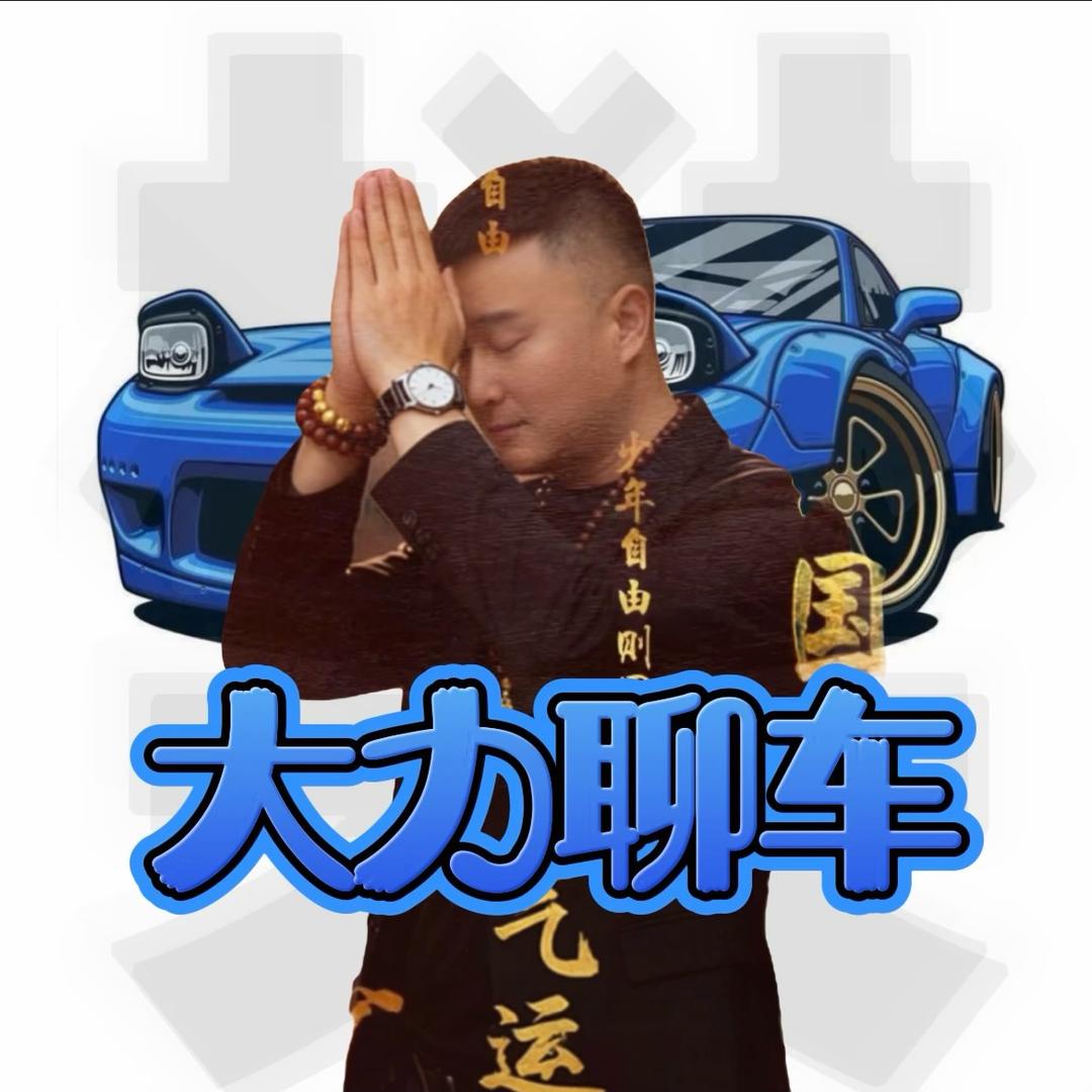 樊大力聊车