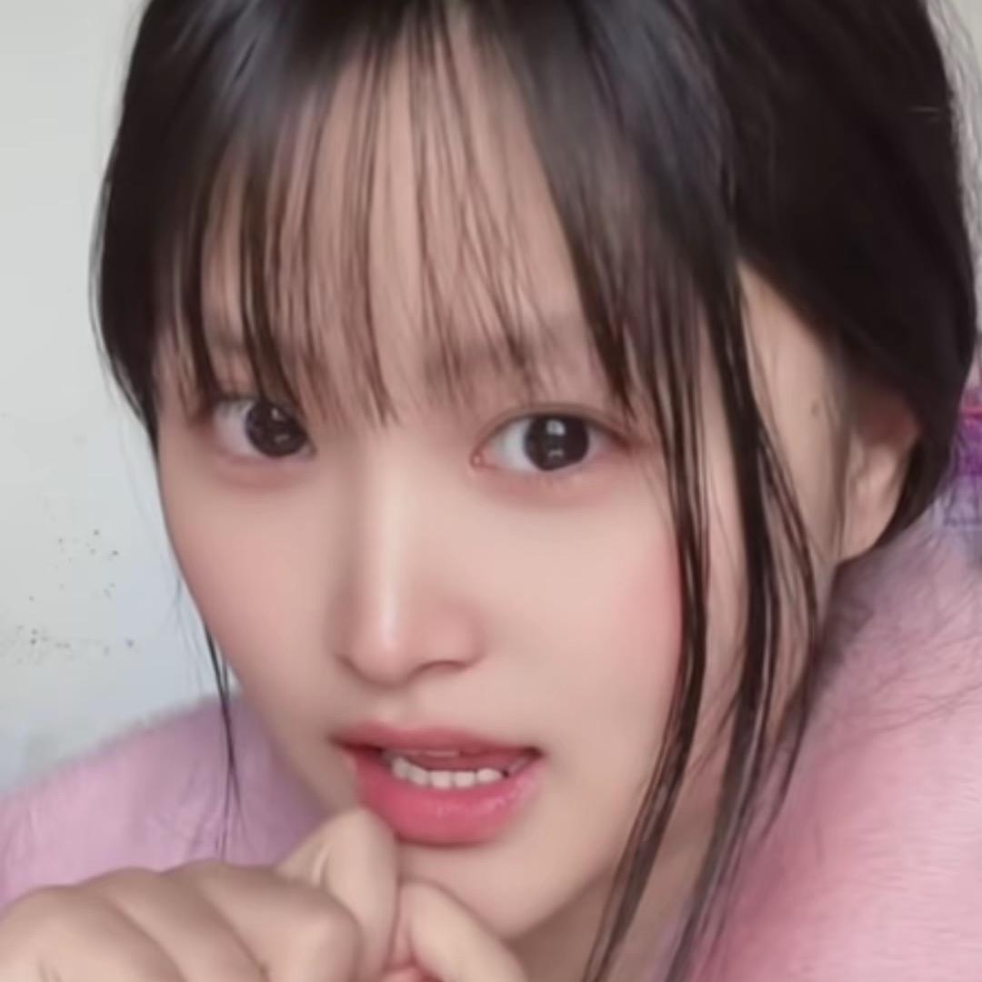 小燕子