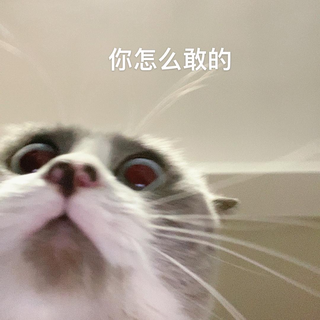 淘一淘 豆总