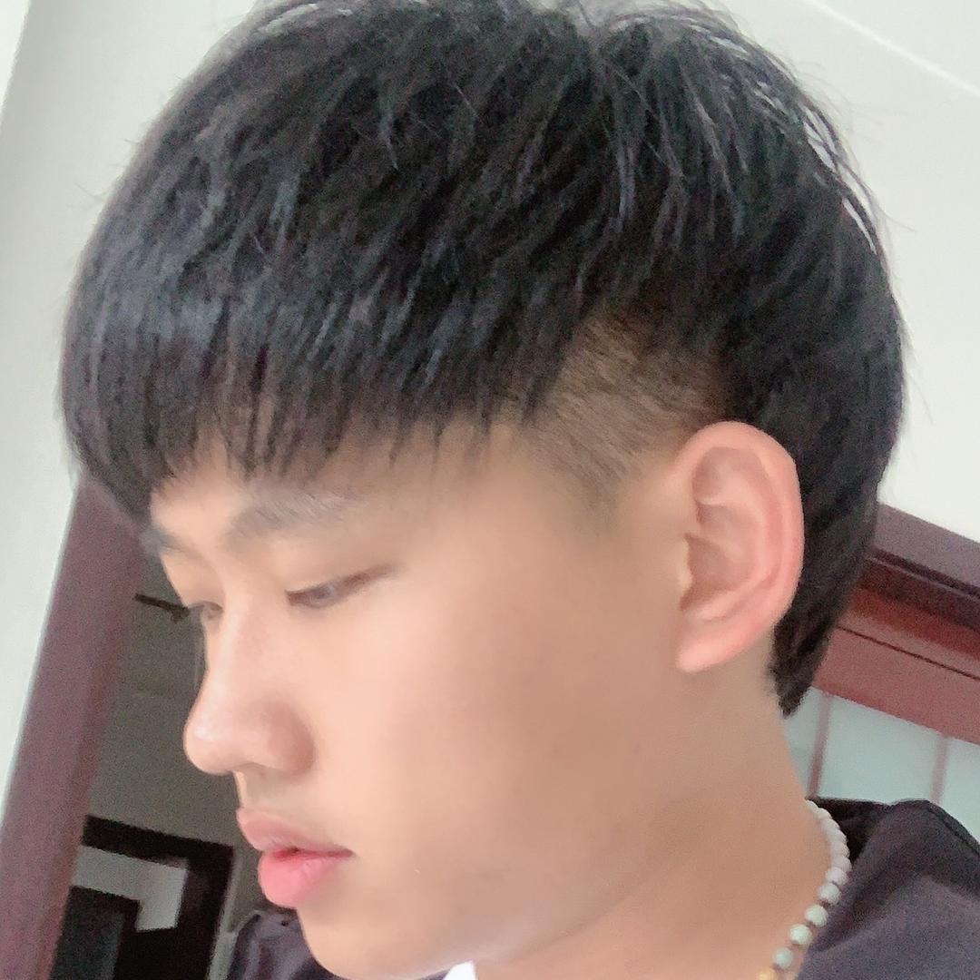 鲨鱼🦈