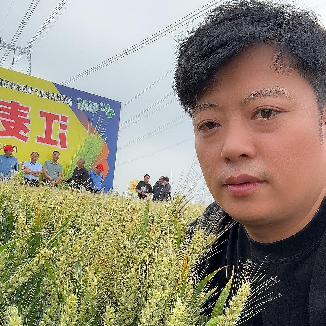 泗县袁勇农资