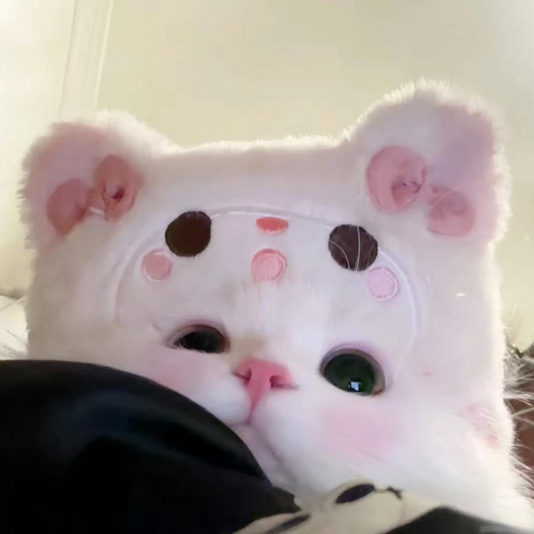 白金金