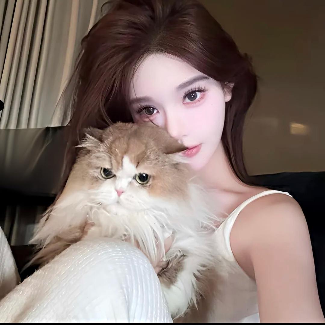 艾艾子Sik