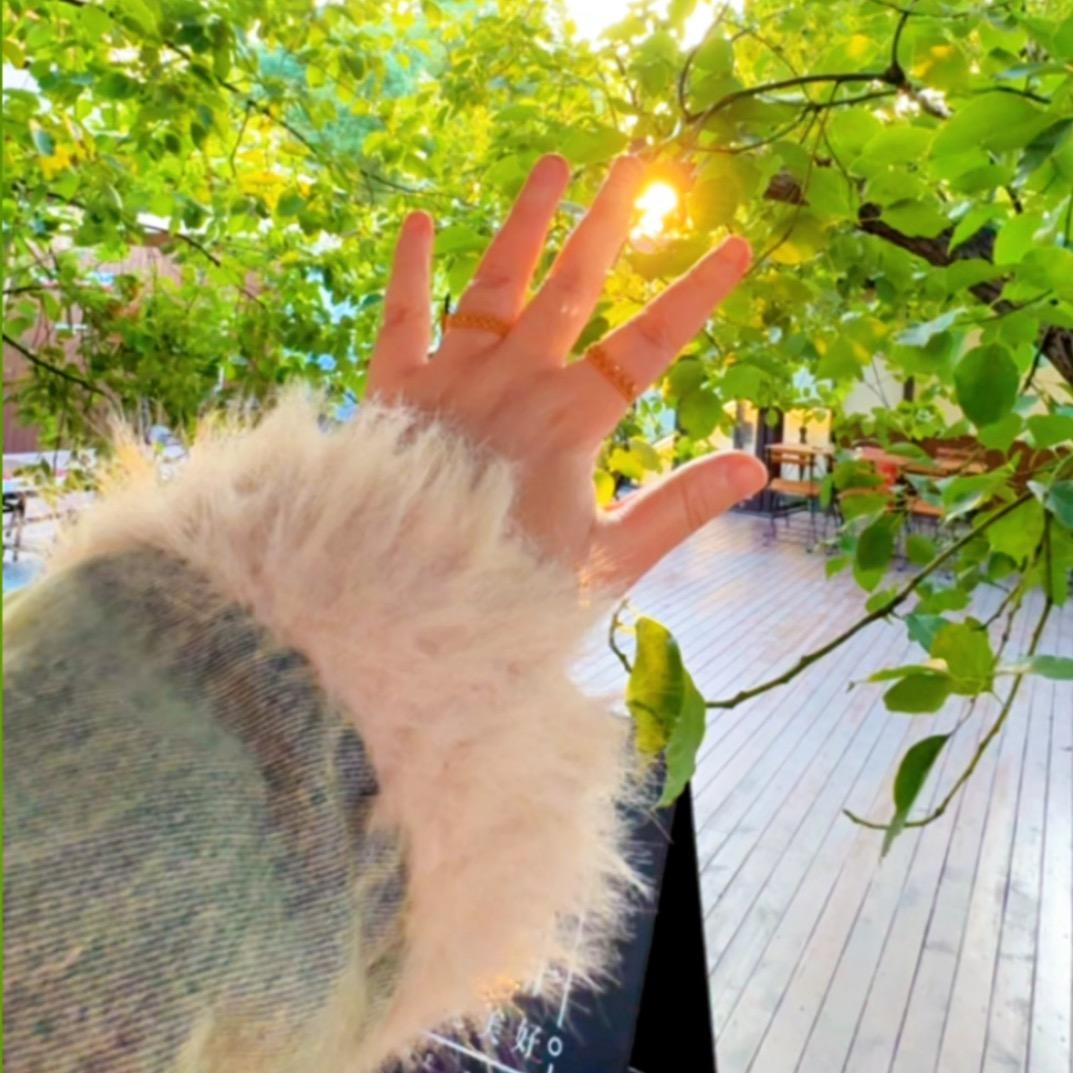 芝士吖