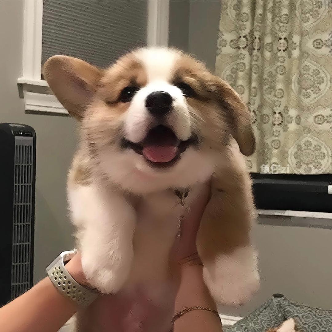 。。。。。
