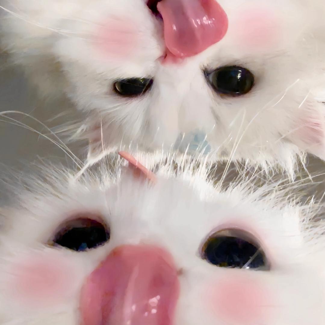 xxn1