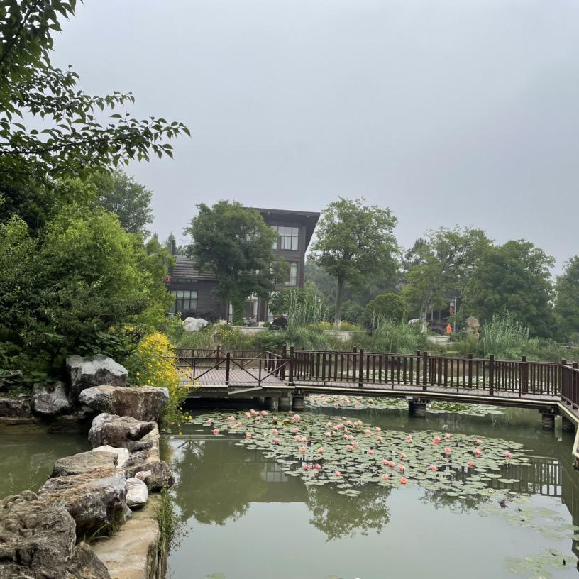 姚香记大骨汤面馆