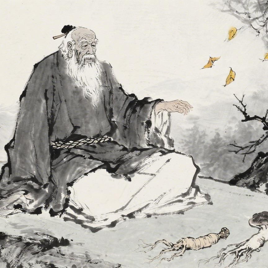 健康智慧之道
