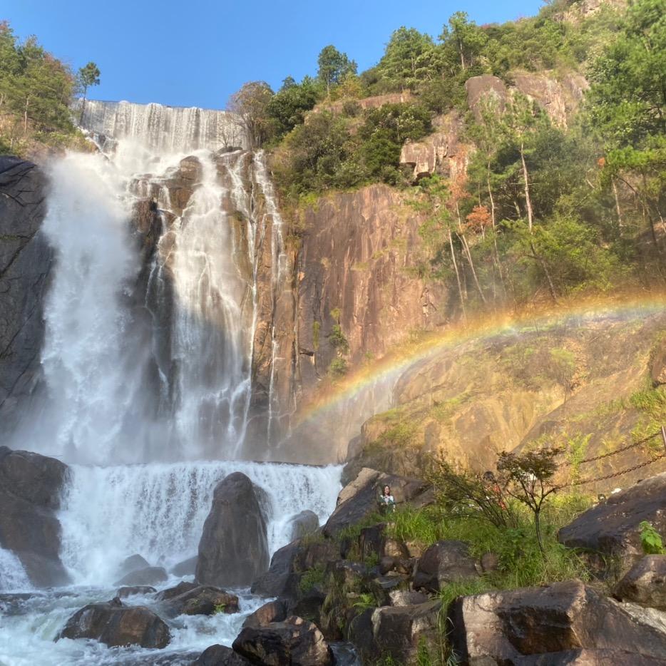 墨西哥的小斑鸠