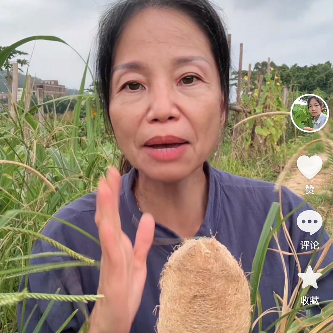 英姐讲青草