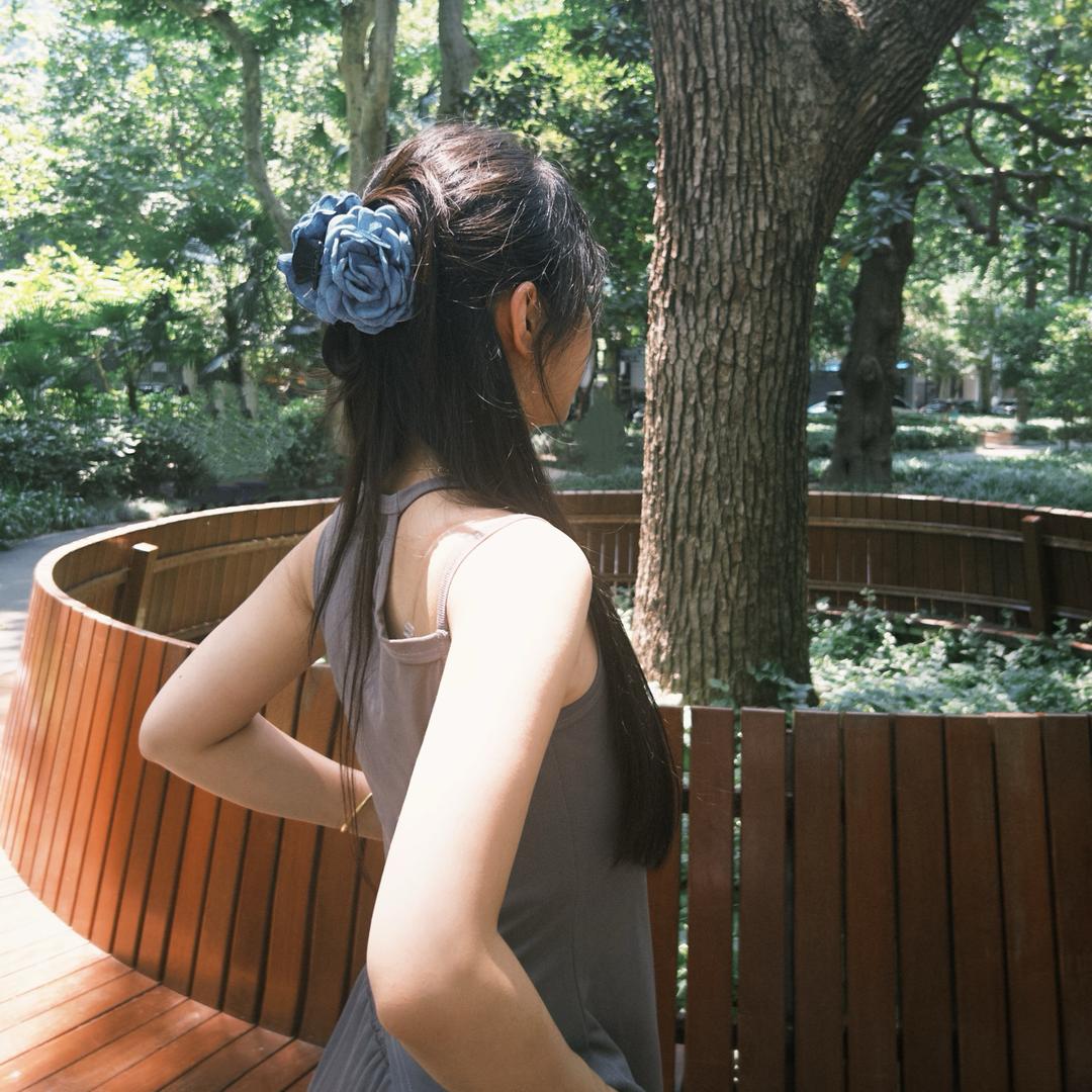 雪球山楂（被DYXX“记住”版）