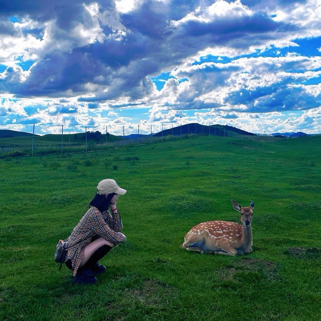 雪宝 千山  兔宝宝板材 阳阳💰