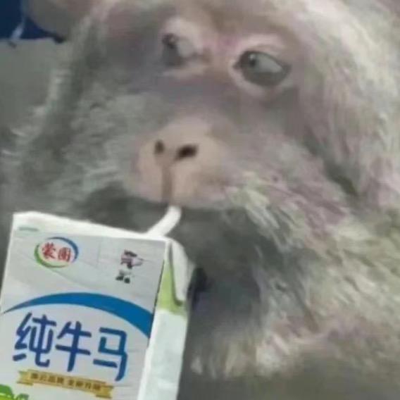 歪嘴🫤小佬弟