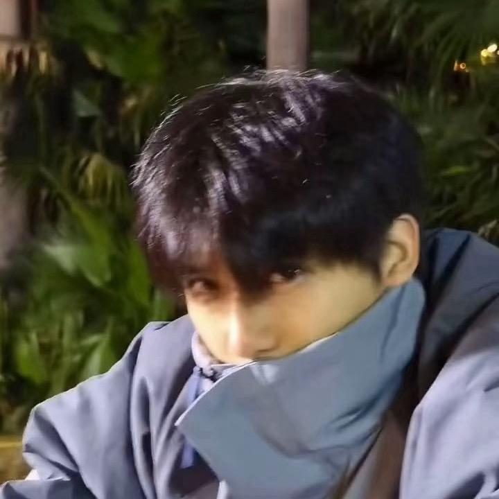 晚晚