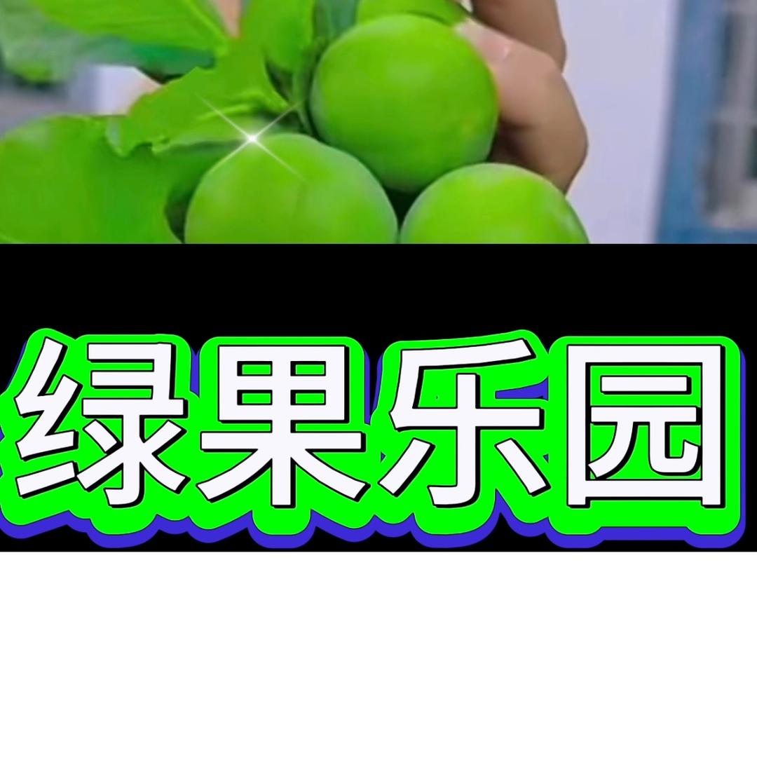 绿果乐园