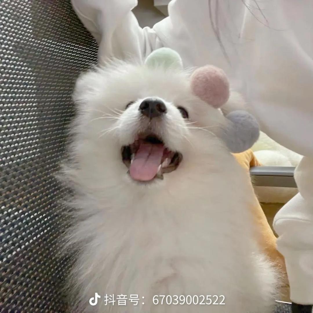 博欣小屋