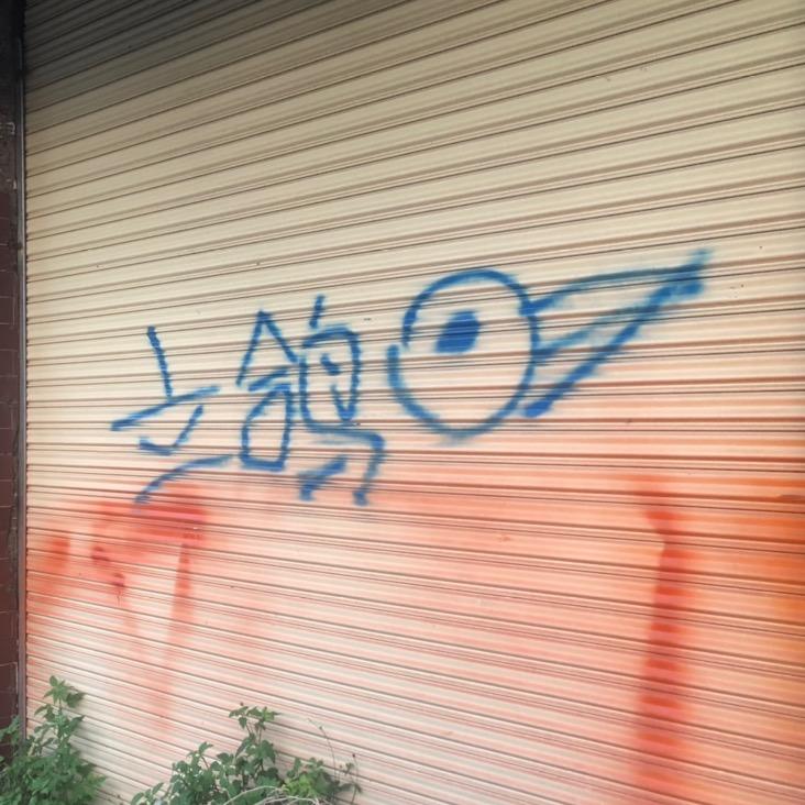 A立鸽