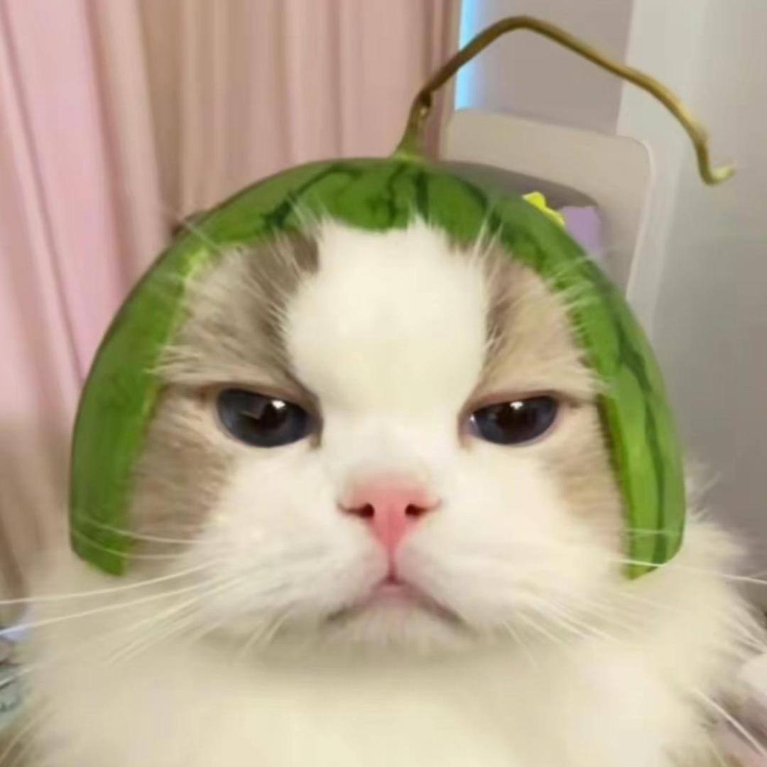 iiovo