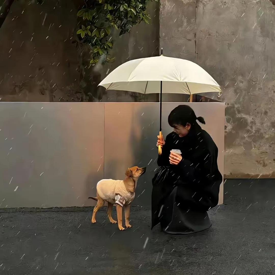 1om汉堡包