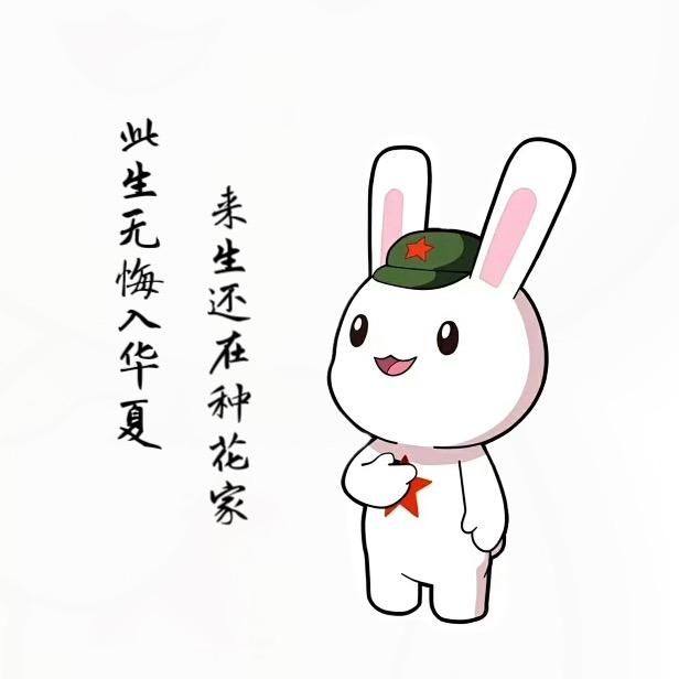 有猫的兔子🐱