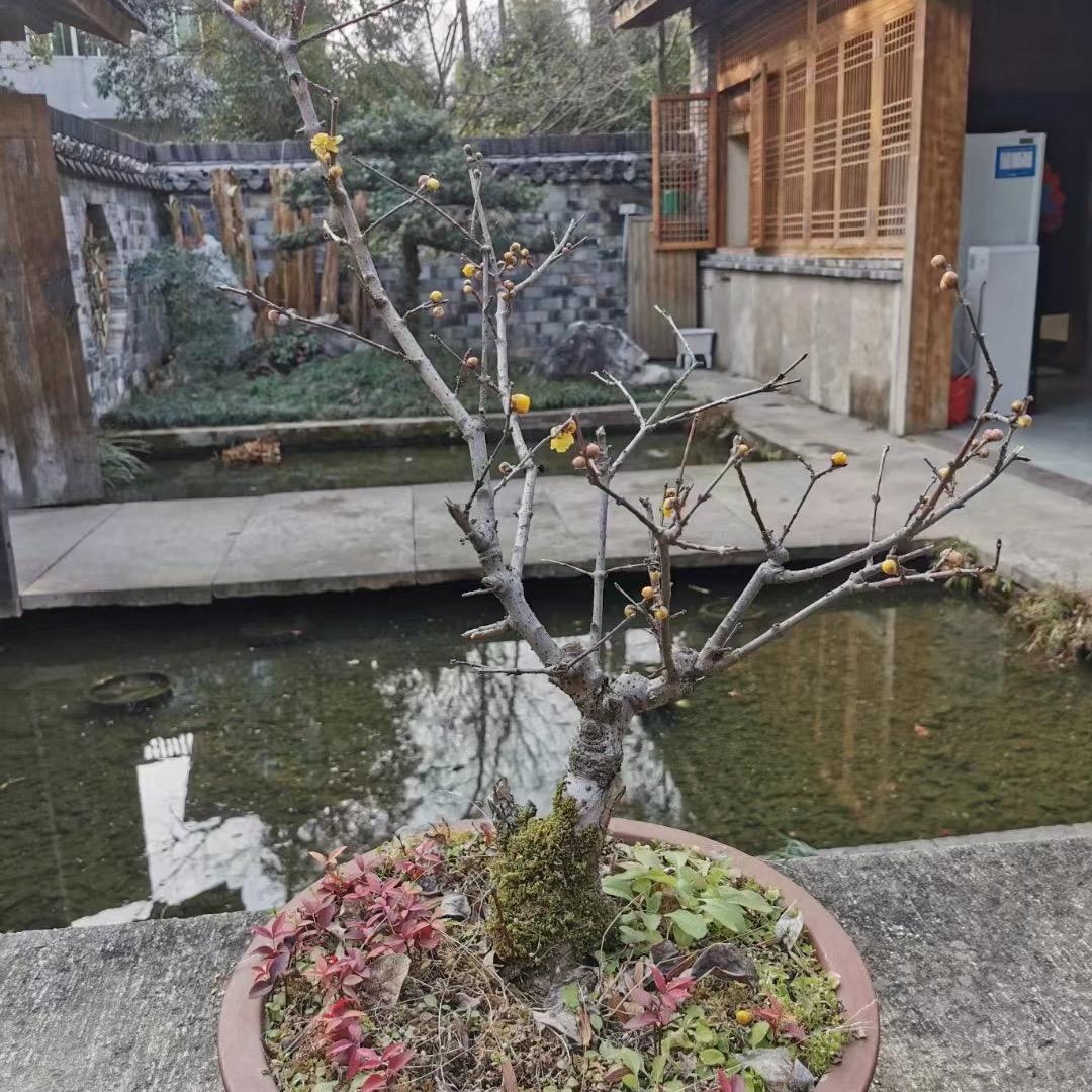 回收电子料，蓝牙，主控，CPU