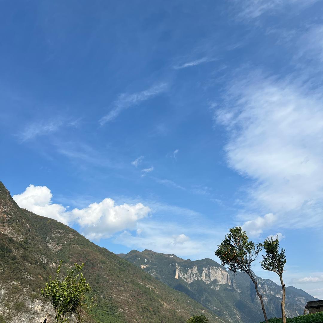 小石头
