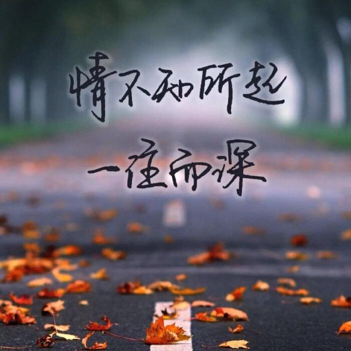 筱瑶女装穿搭