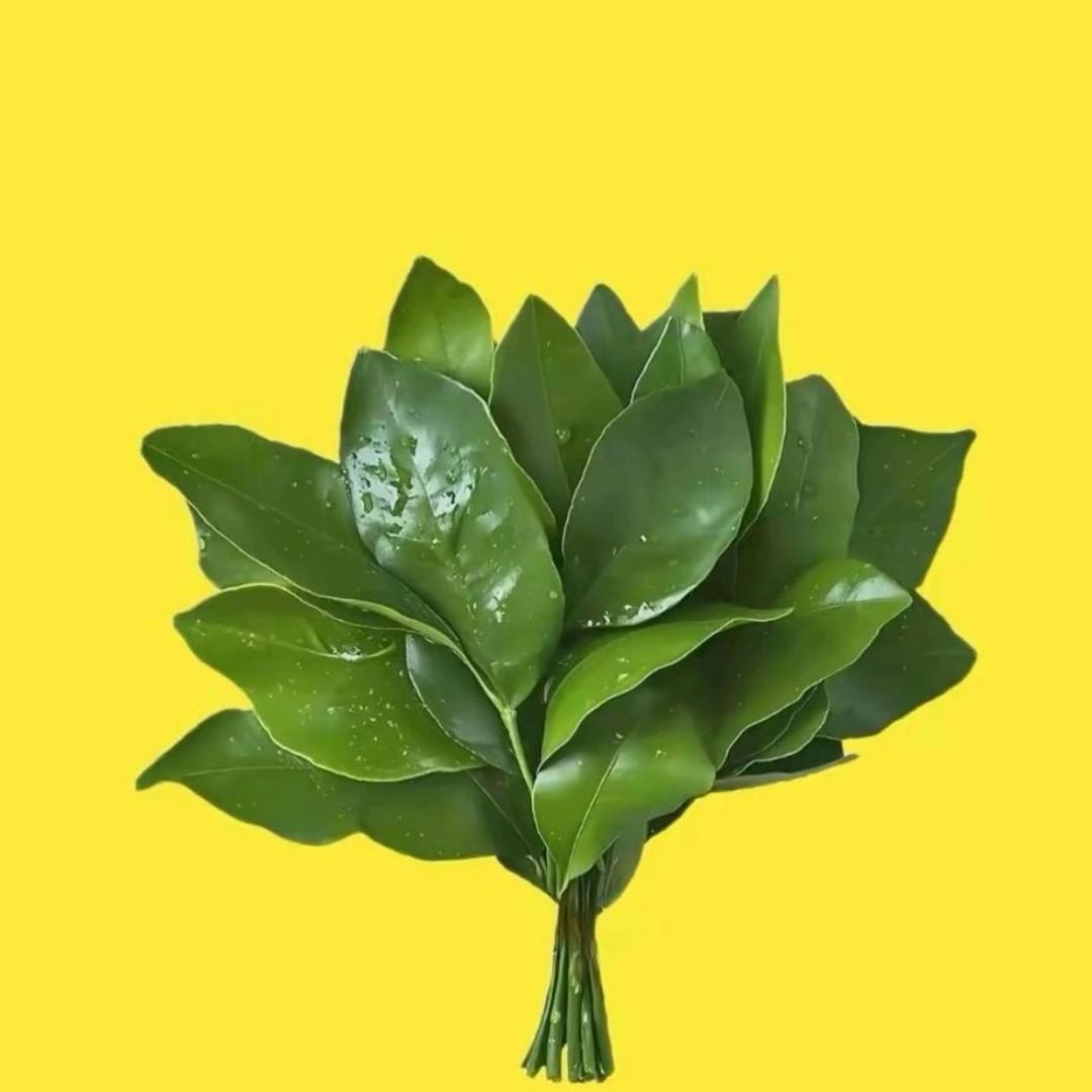小阿立