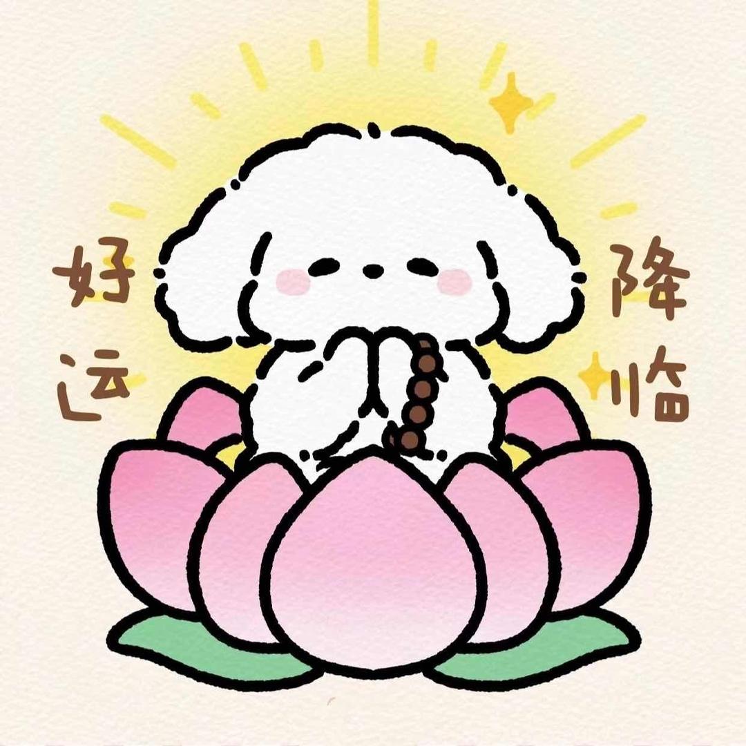 ss17拆卡1（奶猪版）