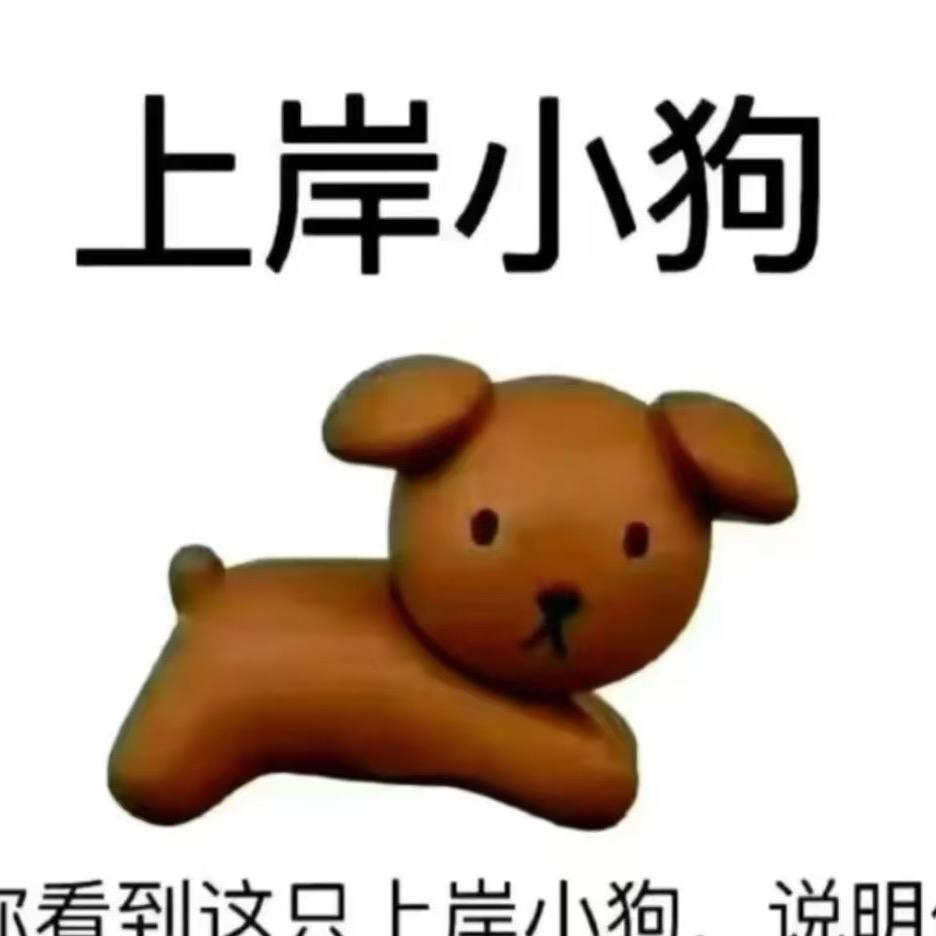 不爱吃茄子的滴宝（考试版）