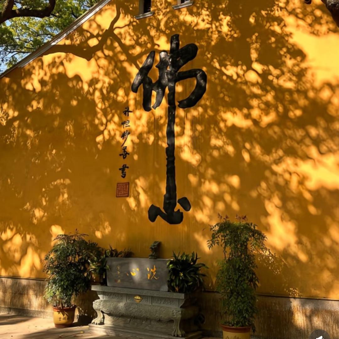 玳祈福跑腿💖普陀山