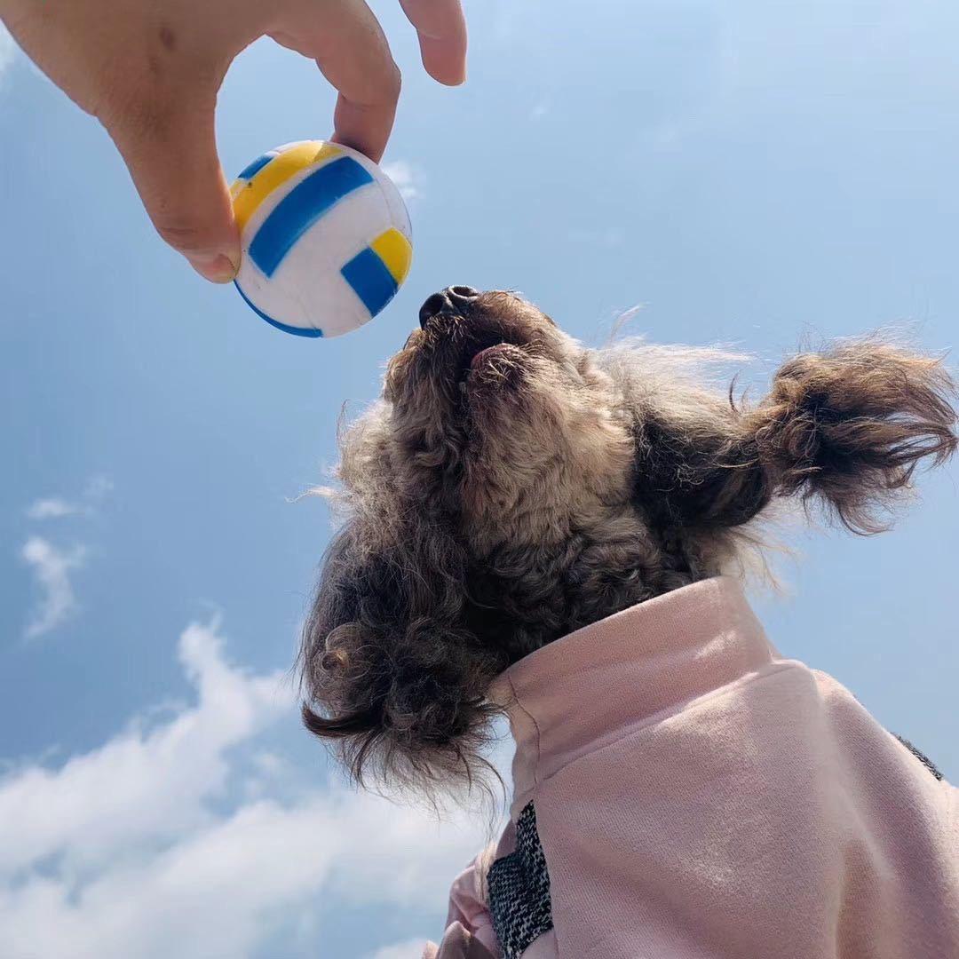 我有一个小毛桃🍑