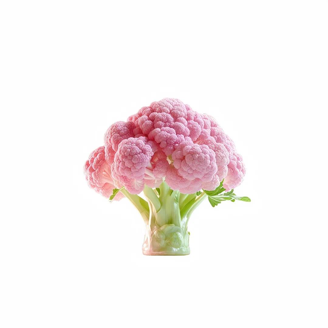 性感的西兰花