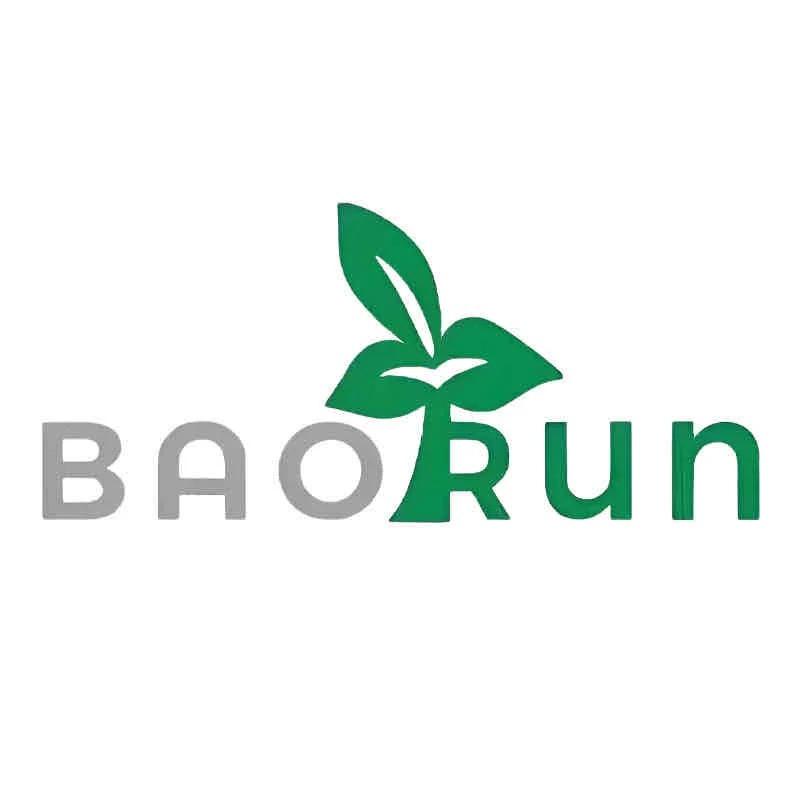 BAORUN皮具2