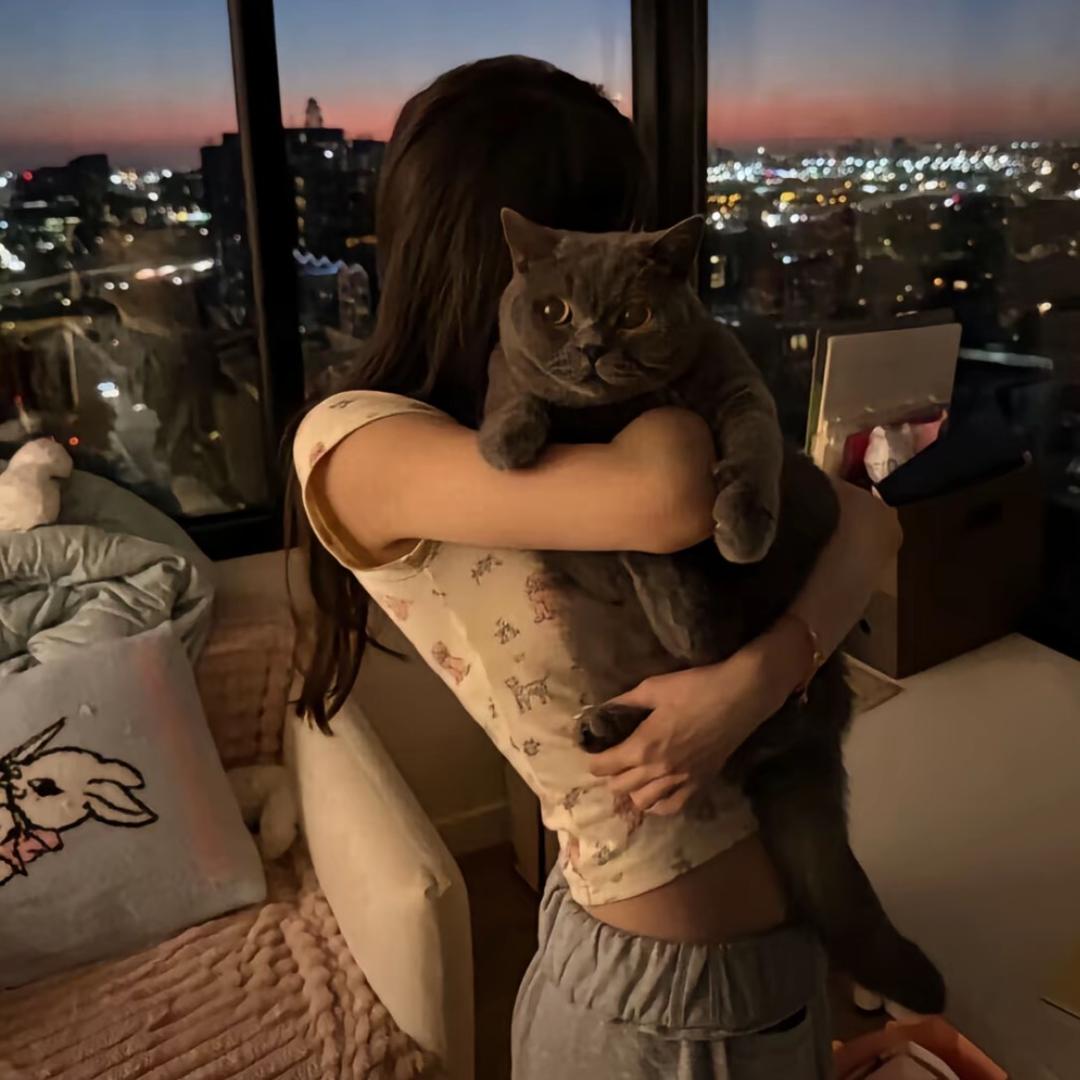 ilove
