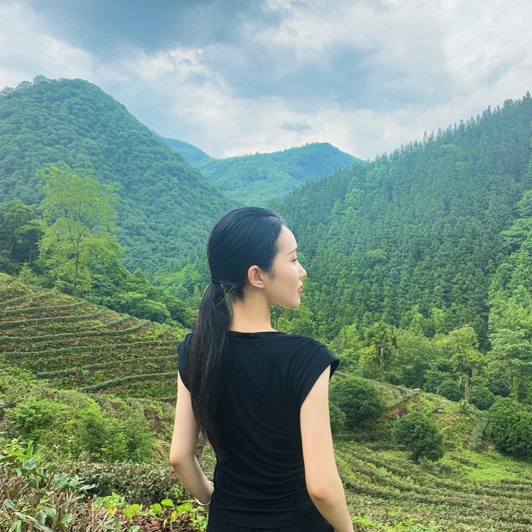 小蒋的茶