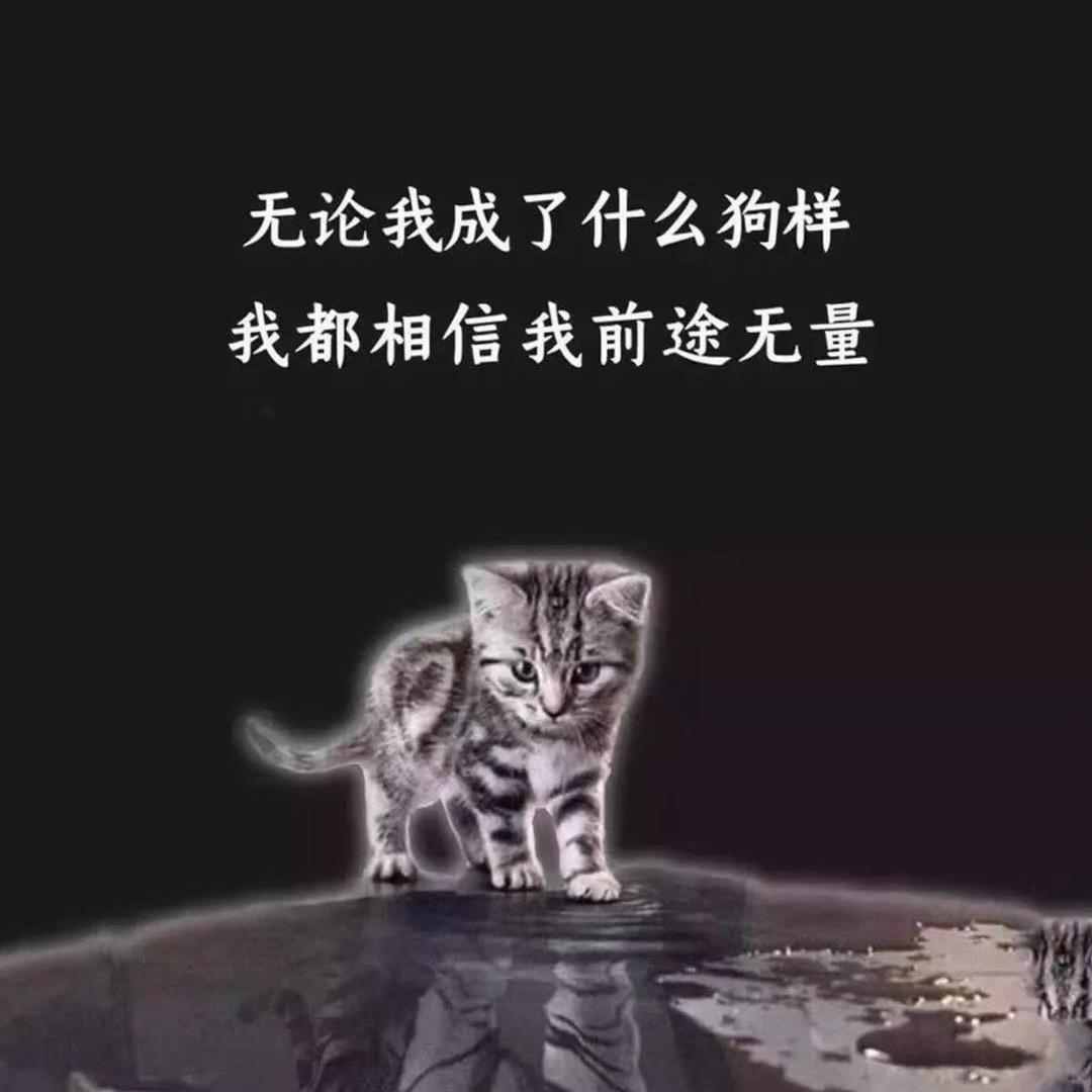 努力、一切都会过去💪