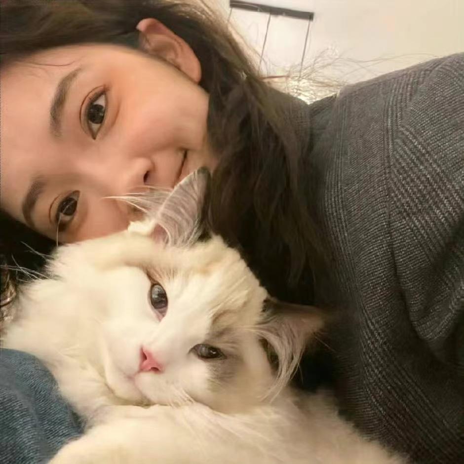 特特超人